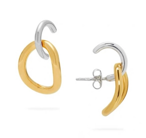 Cesidia earrings